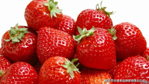 食品品牌營銷策劃公司 以消費者洞察為核心，驅動品牌價值增長